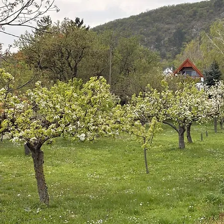Balaton Newhill - Panorama View Δωμάτια σε οικογενειακή κατοικία