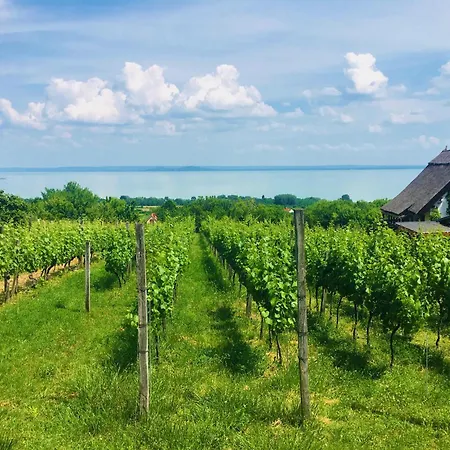 Δωμάτια σε οικογενειακή κατοικία Balaton Newhill - Panorama View Balatonederics